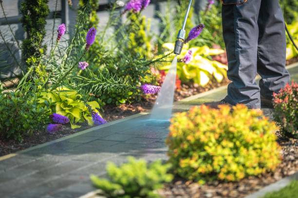 Best Gutter Cleaning  in Brockway, PA