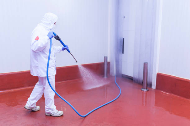 Best Roof Washing  in Brockway, PA